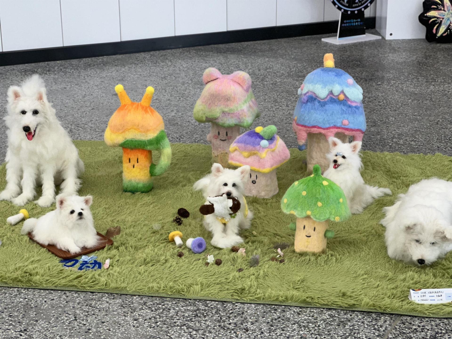 The exhibition of graduate outstanding works from the School of Art and Design was successfully held